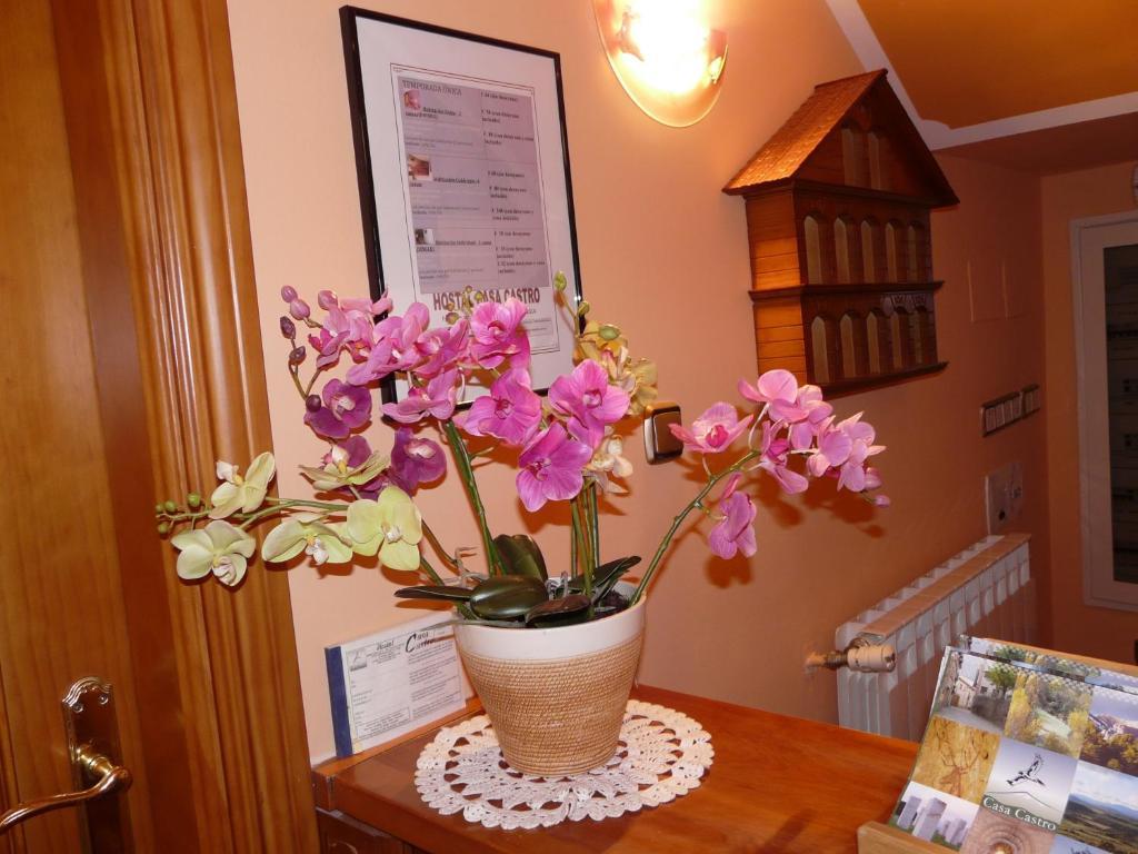 Hostal Rural Casa Castro Alberuela de la Liena 외부 사진